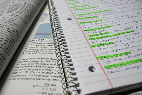 How to Organize Study Notes Effectively